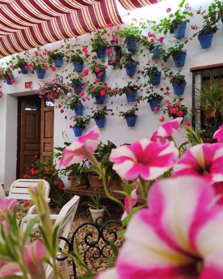Casa Rural "Laplaza23" Herrera del Duque Kültér fotó