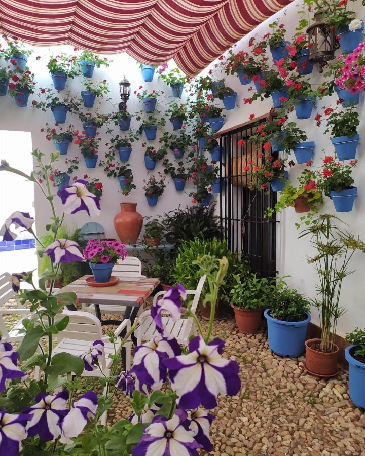 Casa Rural "Laplaza23" Herrera del Duque Kültér fotó